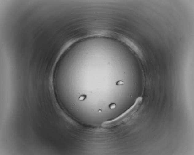 X0000113741283200910071038