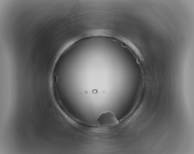 X0000113741285200910071038