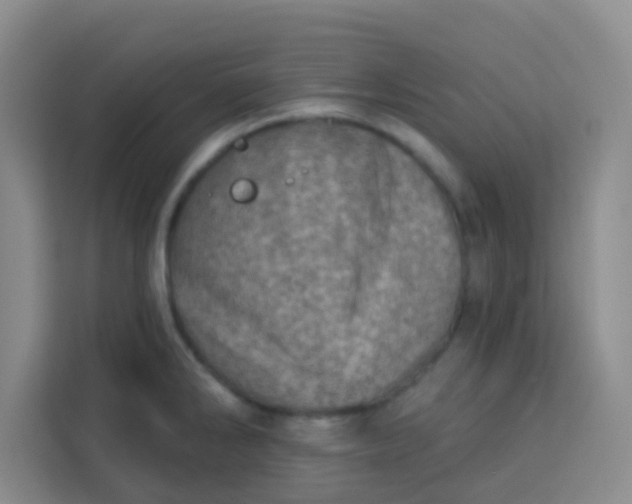 X0000113741286200910071038