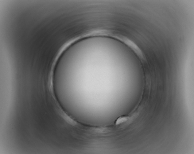 X0000113741288200910071038