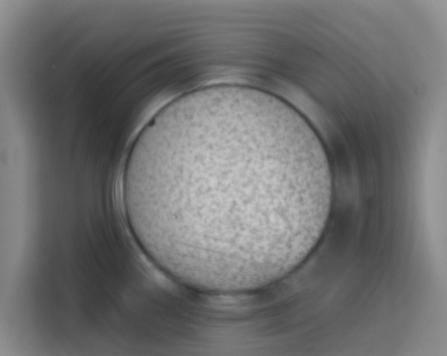 X0000113741290200910071038