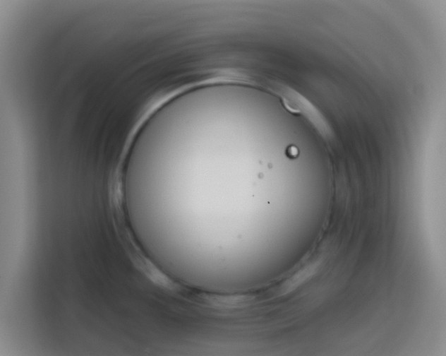 X0000113741292200910071038