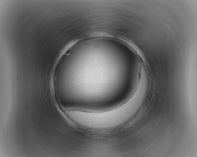 X0000113741293200910071038