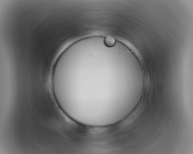 X0000113741294200910071038