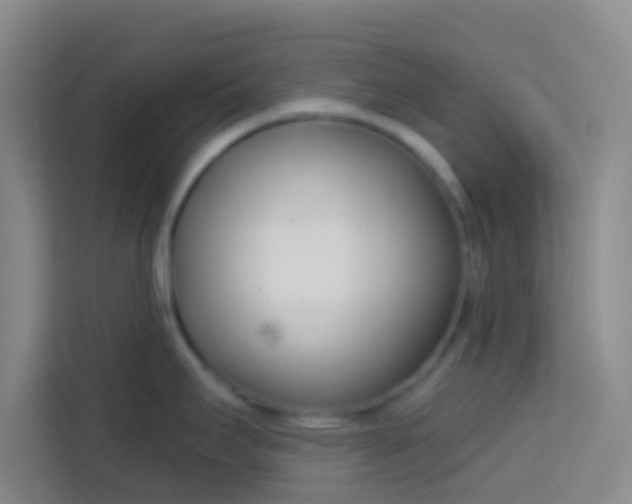 X0000113741295200910071038