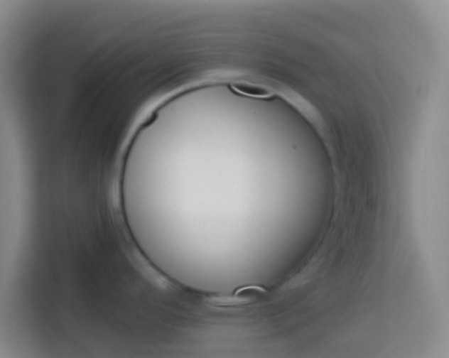 X0000113741296200910071038