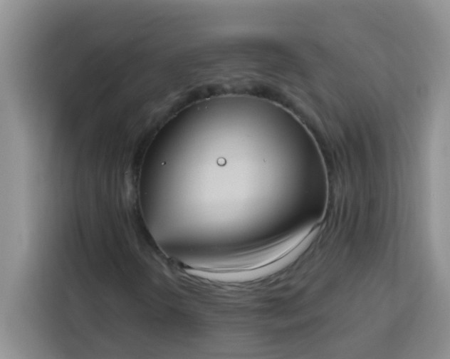 X0000113741298200910071038