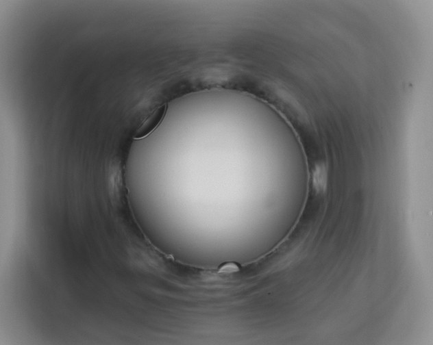 X0000113741299200910071038