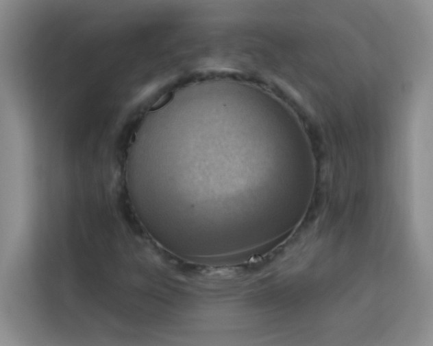 X0000113741303200910071038