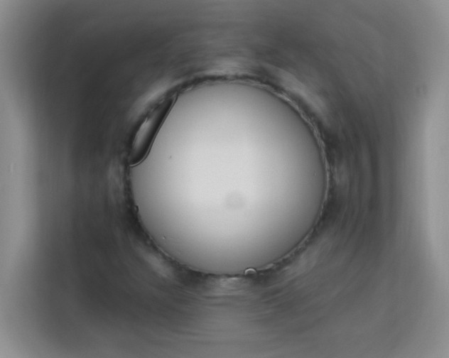 X0000113741304200910071038