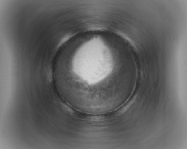 X0000113741306200910071038