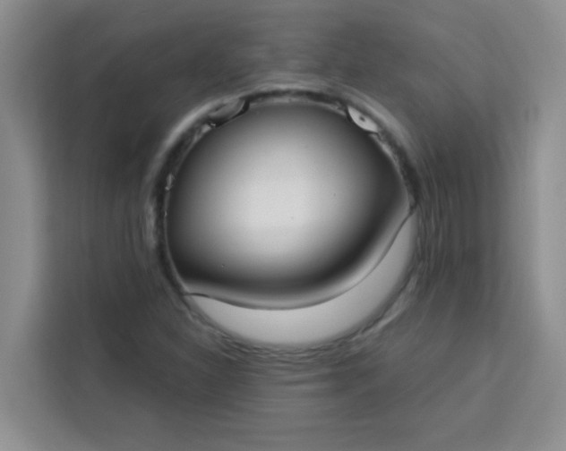 X0000113741310200910071038