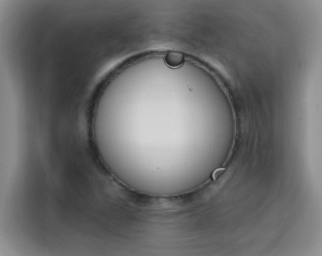 X0000113741311200910071038