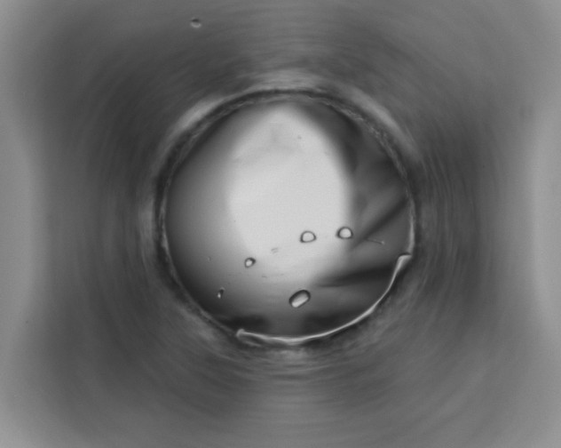 X0000113741315200910071038