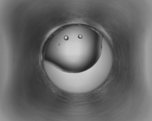 X0000113741320200910071038