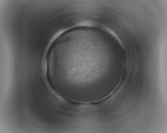 X0000113741323200910071038