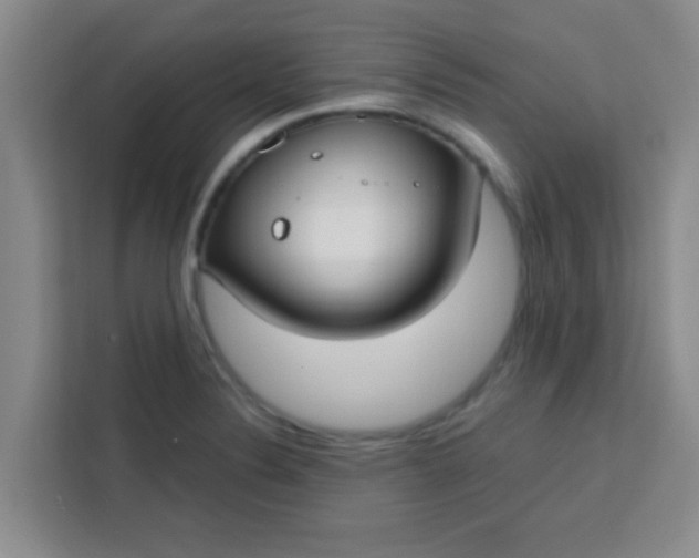 X0000113741324200910071038