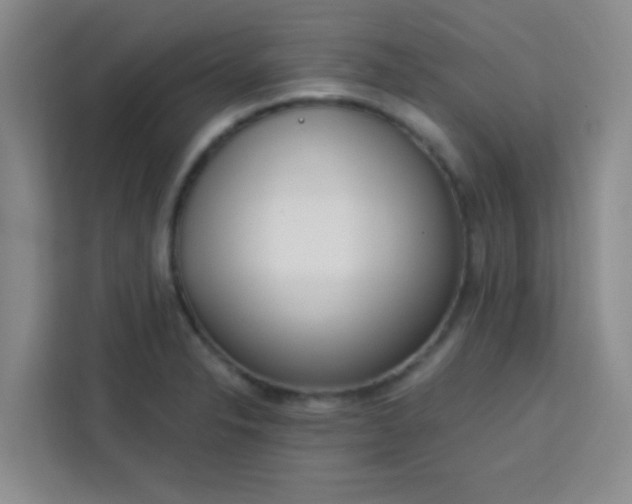 X0000113741326200910071038