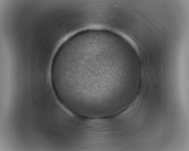 X0000113741327200910071038