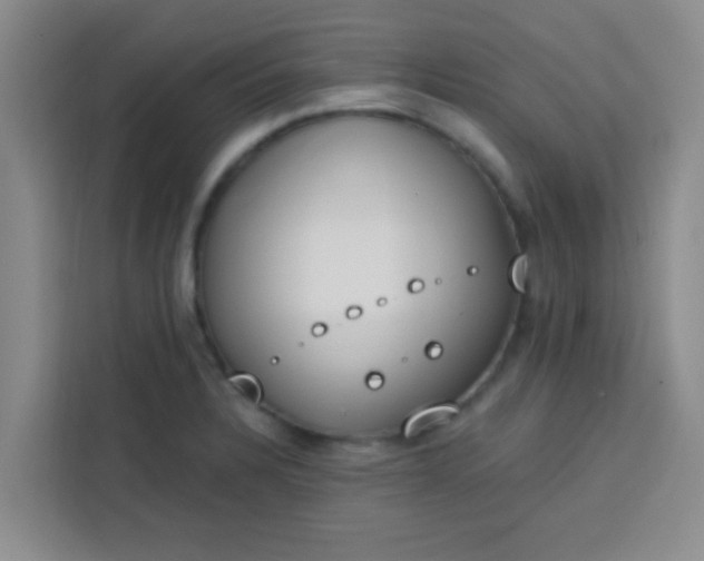 X0000113741328200910071038