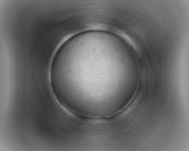 X0000113741331200910071038