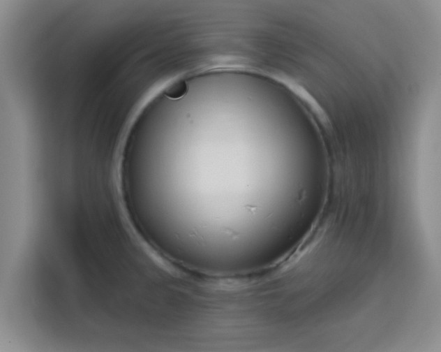 X0000113741333200910071038