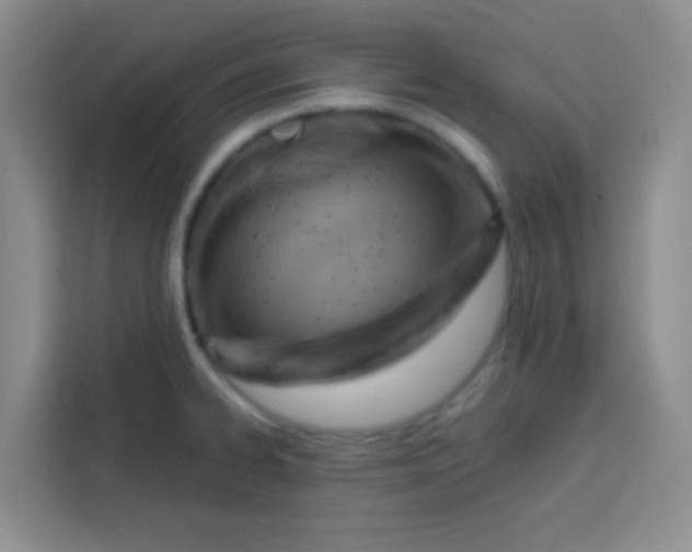 X0000113741334200910071038