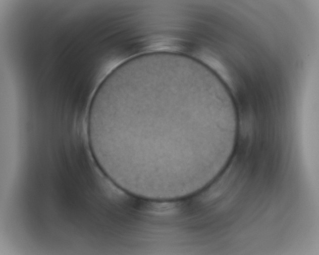 X0000113741338200910071038