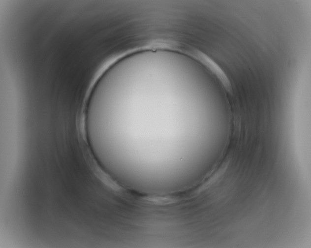 X0000113741340200910071038