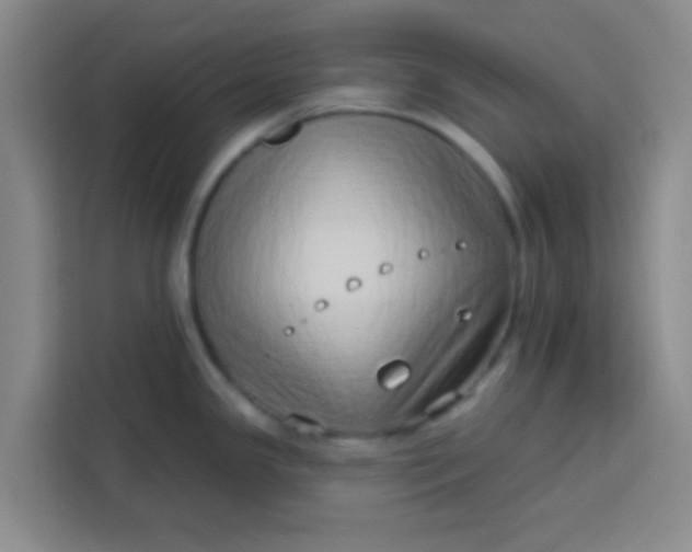 X0000113741341200910071038