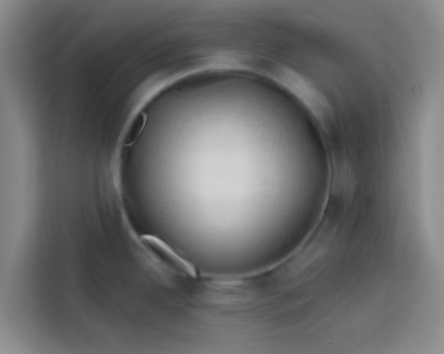 X0000113741342200910071038