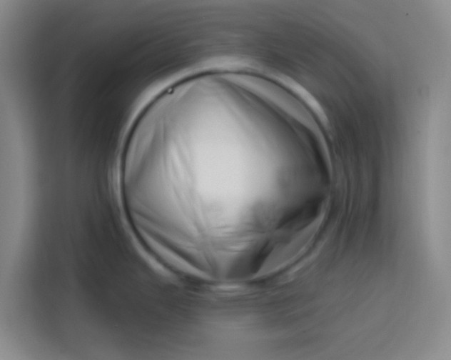 X0000113741343200910071038