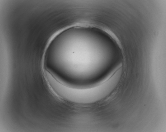 X0000113741344200910071038