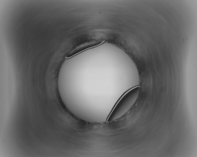 X0000113741345200910071038