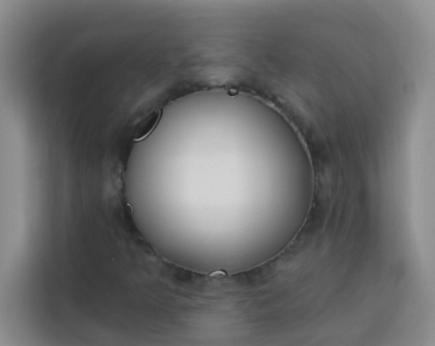 X0000113741349200910071038