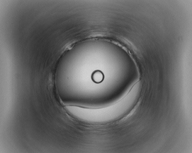 X0000113741353200910071038