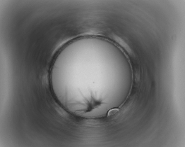 X0000113741356200910071038