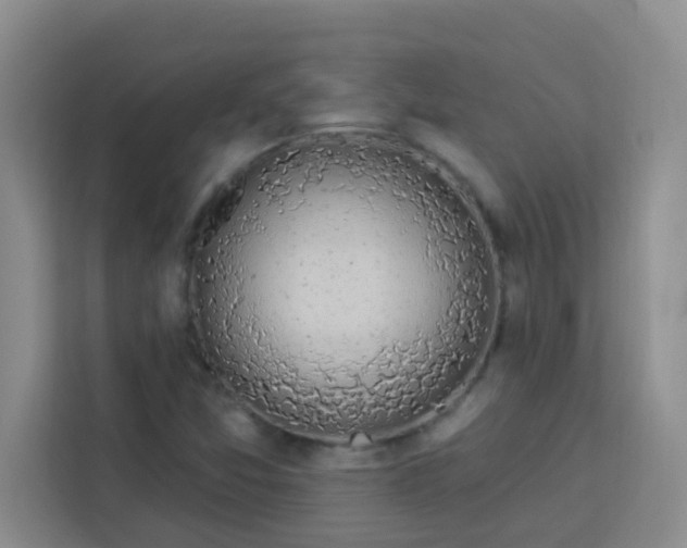 X0000113741357200910071038