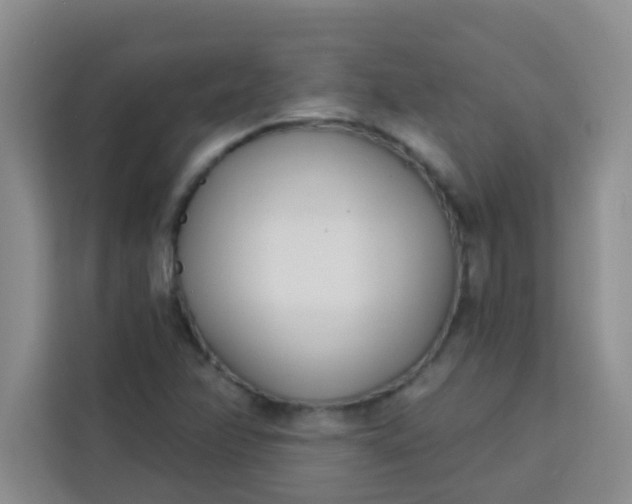 X0000113741358200910071038