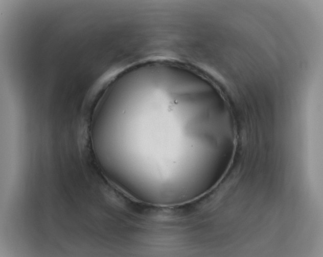 X0000113741359200910071037