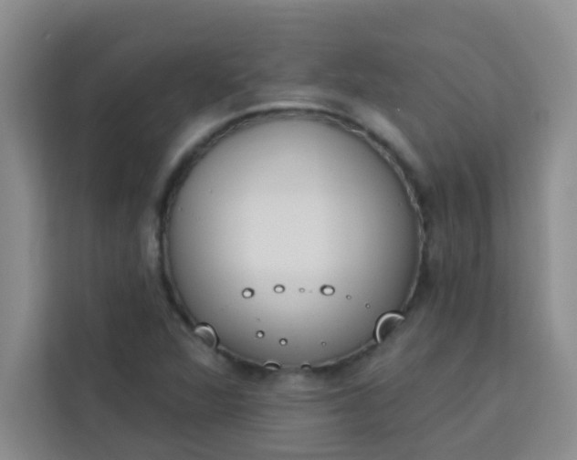 X0000113741360200910071037