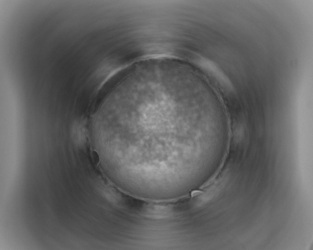 X0000113741361200910071037