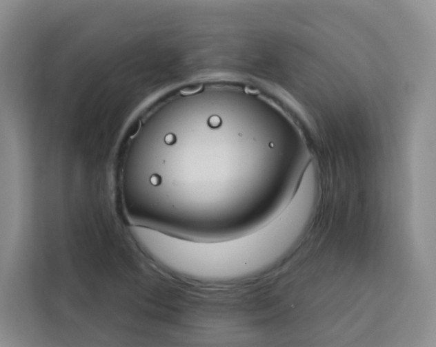 X0000113741364200910071037