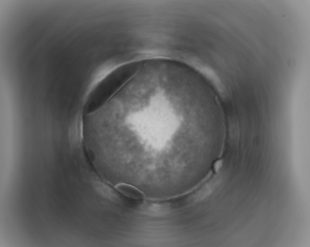 X0000113741365200910071037