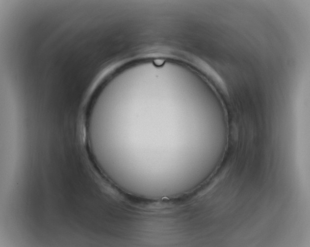 X0000113741368200910071037