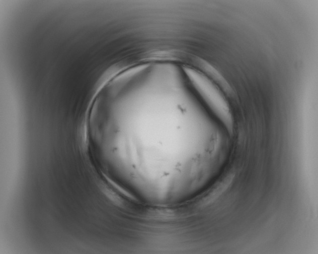 X0000113741370200910071037