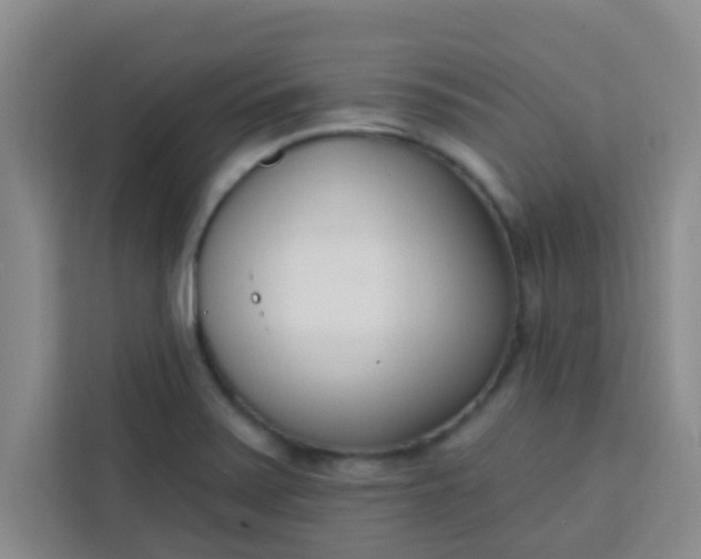 X0000113741371200910071037