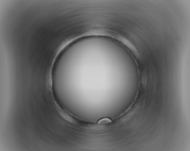 X0000113741372200910071037