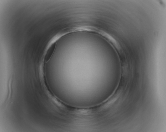 X0000113741373200910071037