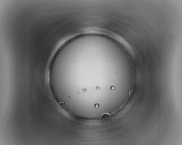 X0000113741376200910071037